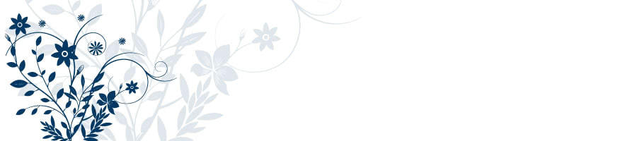 ̃rWlX}NOďIɏグ@